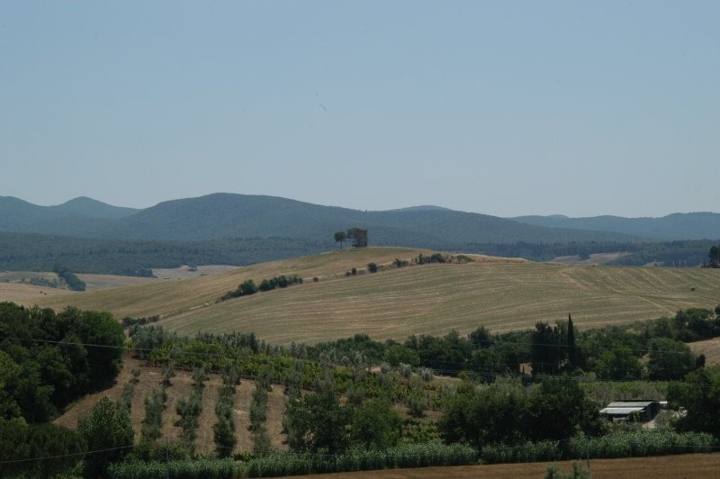 BIBBONA CAMPAGNA